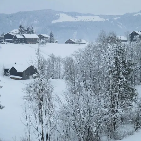 Haus Schneider Andelsbuch