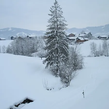 Haus Schneider Andelsbuch