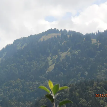 Haus Schneider Andelsbuch