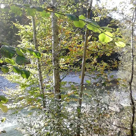 Haus Schneider Andelsbuch